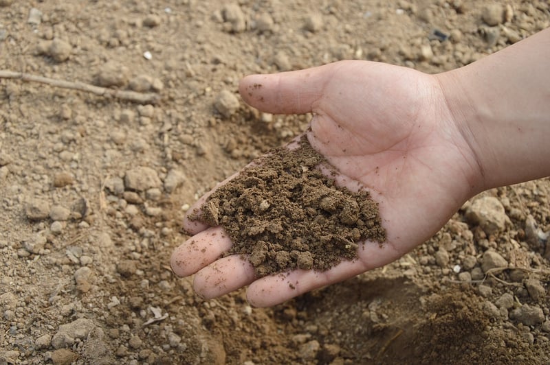 Compost in Garden