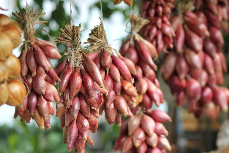 Harvested Crops